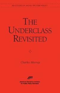 bokomslag The Underclass Revisited