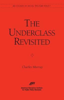 bokomslag The Underclass Revisited