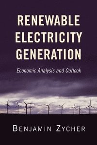 bokomslag Renewable Electricity Generation