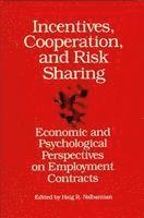 bokomslag Incentives, Cooperation, and Risk Sharing