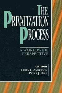 bokomslag The Privatization Process