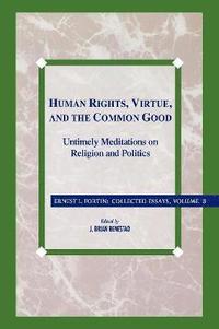 bokomslag Human Rights, Virtue and the Common Good