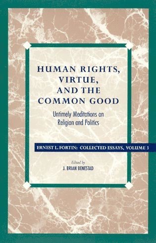 bokomslag Human Rights, Virtue and the Common Good