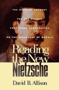 bokomslag Reading the New Nietzsche