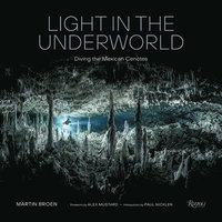 bokomslag Light in the Underworld