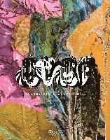 Cay Sophie Rabinowitz - Assume Vivid Astro Focus, Inbunden