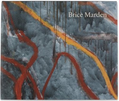 bokomslag Brice Marden: Let the Painting Make You