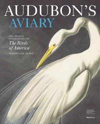 bokomslag Audubon's Aviary