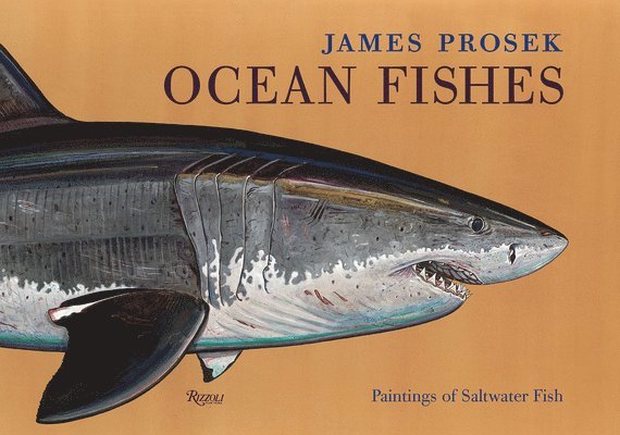 James Prosek: Ocean Fishes 1