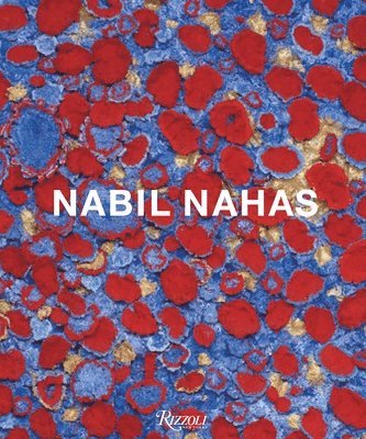 bokomslag Nabil Nahas