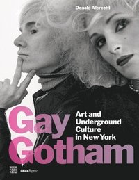 bokomslag Gay Gotham
