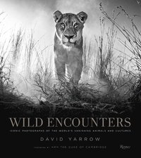 bokomslag Wild Encounters