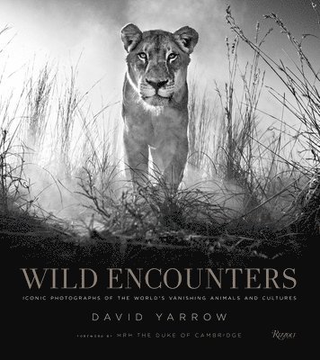Wild Encounters 1