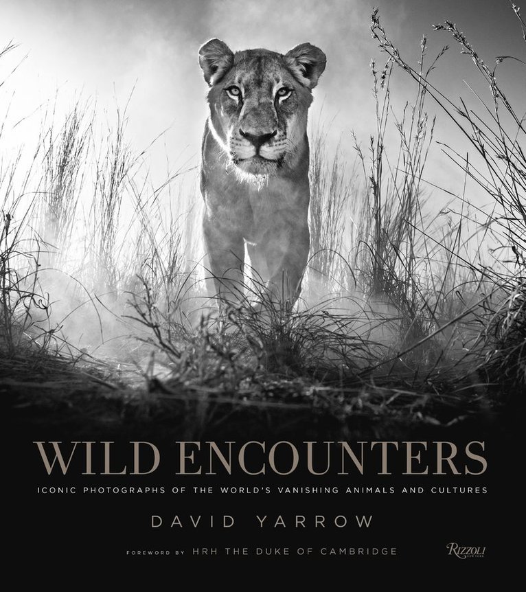 Wild Encounters