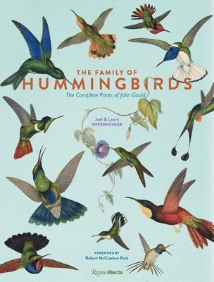 bokomslag Family of Hummingbirds