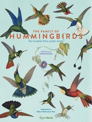 The Family of Hummingbirds 1