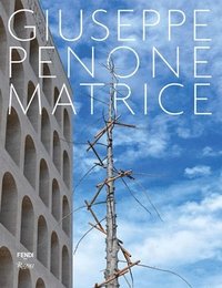 bokomslag Giuseppe Penone: Matrice
