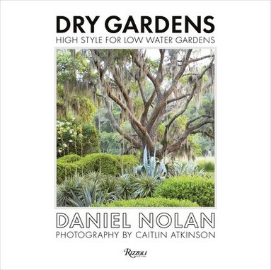 bokomslag Dry Gardens