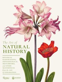 bokomslag The Art of Natural History