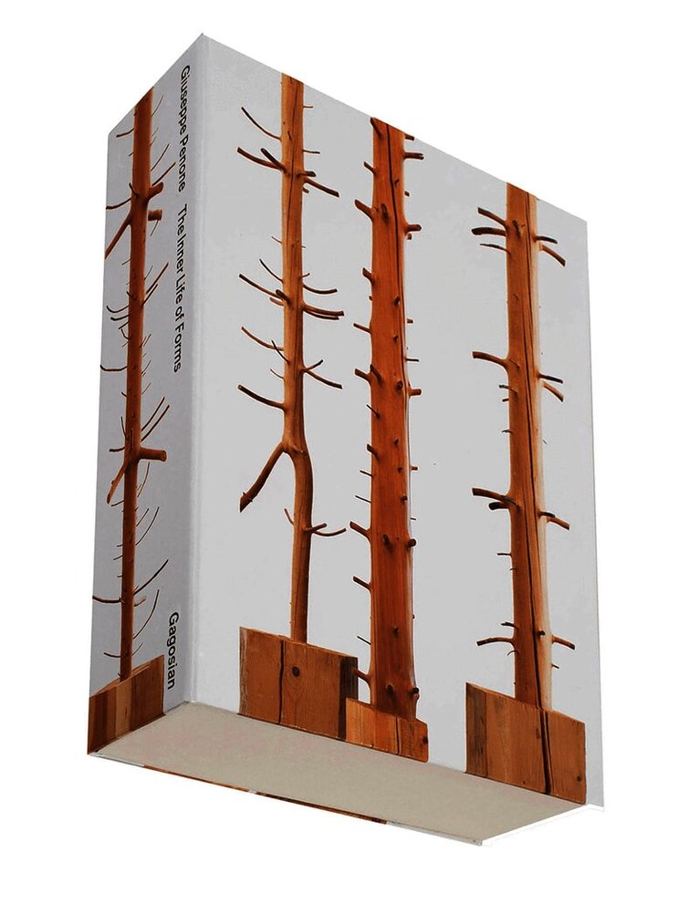 Carlos Basualdo - Giuseppe Penone, Inbunden