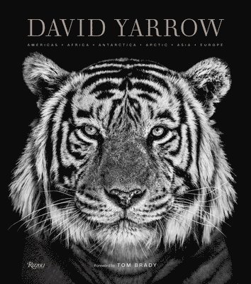 bokomslag David Yarrow Photography