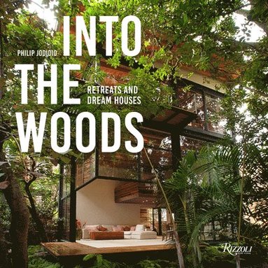 bokomslag Into the Woods