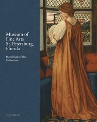 bokomslag Museum of Fine Arts, St. Petersburg, Florida
