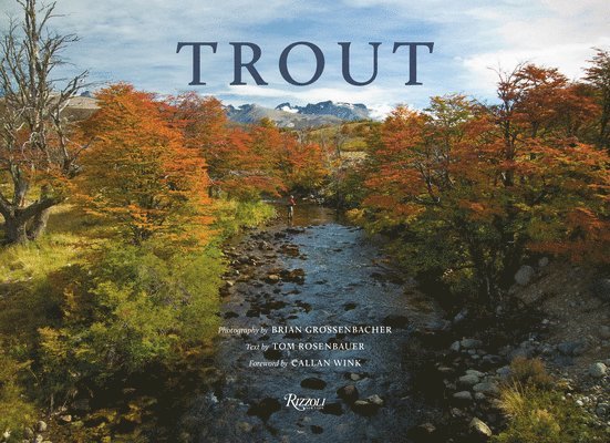 Tom Rosenbauer, Brian Grossenbacher - Trout, Inbunden