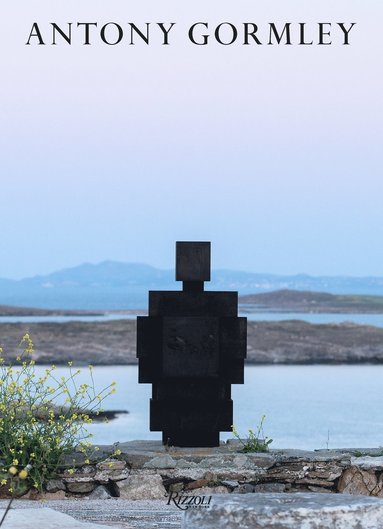 bokomslag Antony Gormley