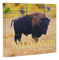 bokomslag Conserving America's Wild Lands