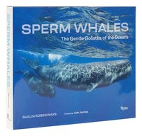 bokomslag Sperm Whales