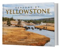 bokomslag Seasons of Yellowstone