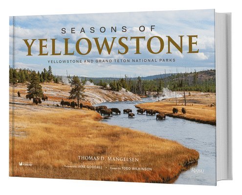 Seasons of Yellowstone 1