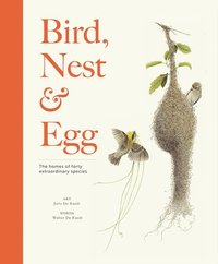 bokomslag Bird, Nest & Egg: The Homes of Forty Extraordinary Species