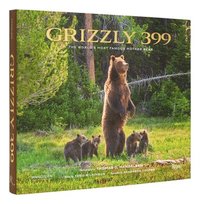 bokomslag Grizzly 399