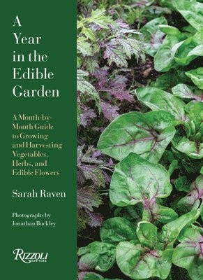 bokomslag A Year in the Edible Garden: A Month-By-Month Guide to Growing and Harvesting Vegetables, Herbs, and Edible Flowers