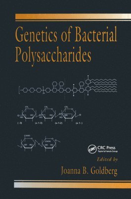 Joanna B. Goldberg - Genetics of Bacterial Polysaccharides, Inbunden