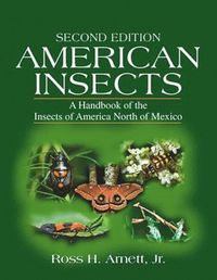 bokomslag American Insects