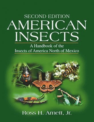 bokomslag American Insects