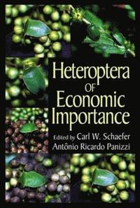 bokomslag Heteroptera of Economic Importance
