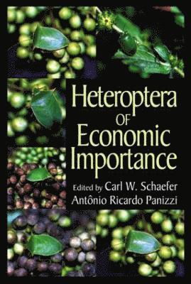 Heteroptera of Economic Importance 1