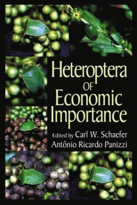 Heteroptera of Economic Importance