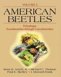 bokomslag American Beetles, Volume II