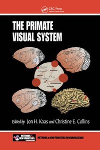 bokomslag The Primate Visual System