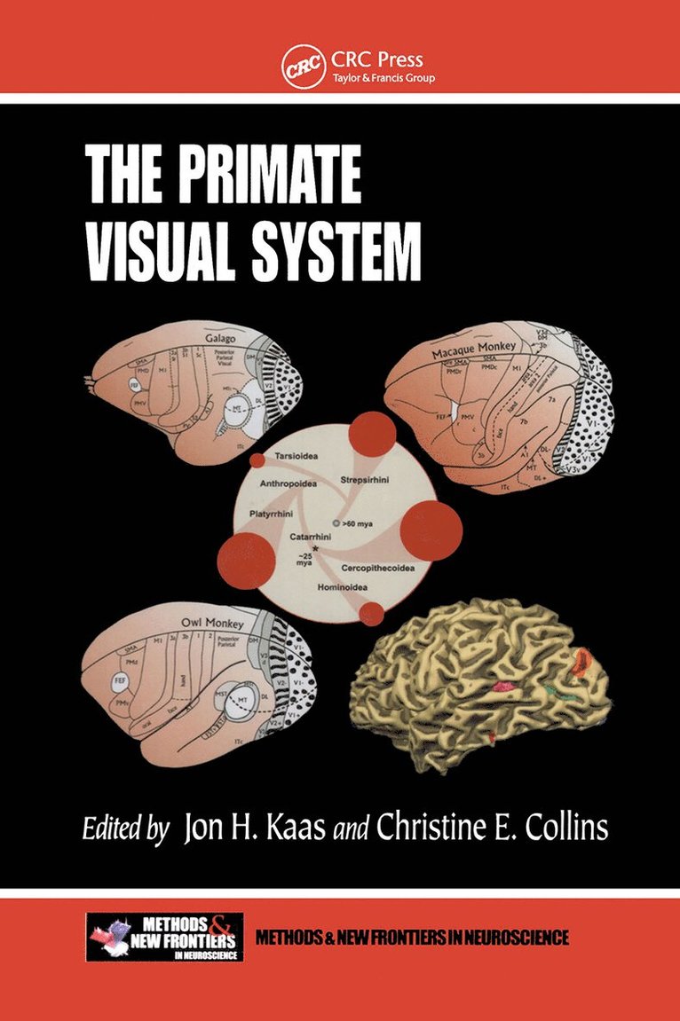Jon H. Kaas, Christine E. Collins, USA) Kaas, Jon H. (Vanderbilt University, Nashville, Tennessee, USA) Collins, Christine E. (Vanderbilt University, Nashville, Tennessee - Primate Visual System, Inbunden