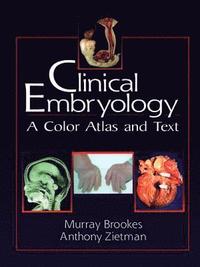 bokomslag Clinical Embryology