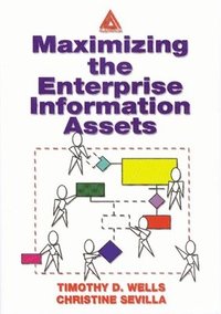 bokomslag Maximizing The Enterprise Information Assets