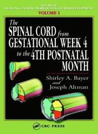 bokomslag The Spinal Cord from Gestational Week 4 to the 4th Postnatal Month