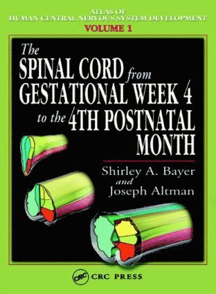 Spinal Cord from Gestational Week 4 to the 4th Postnatal Month 1