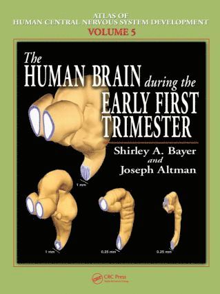 Shirley A. Bayer, Joseph Altman, USA) Bayer, Shirley A. (Indianapolis, Indiana, USA) Altman, Joseph (Indianapolis, Indiana - Human Brain During the Early First Trimester, Inbunden